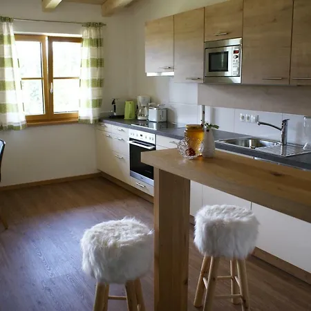 Moosgut Apartment Abtenau