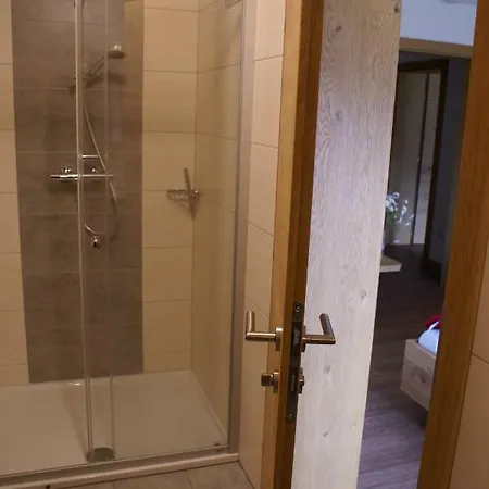 Moosgut Apartment Abtenau