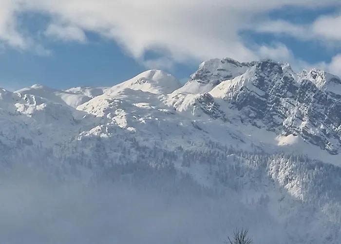 Appartement Moosgut Abtenau